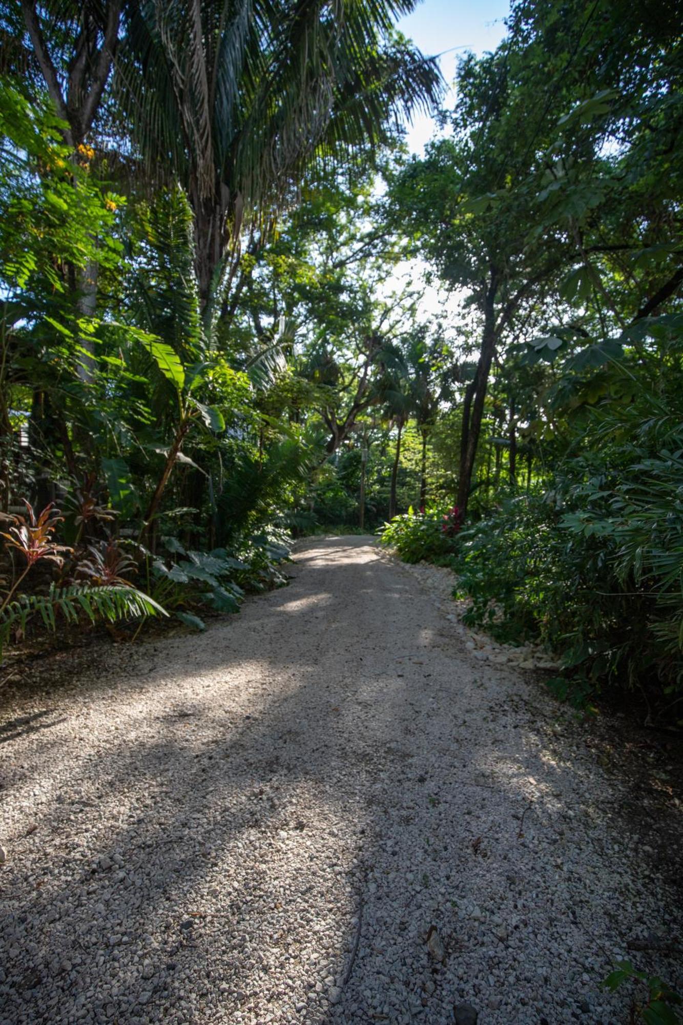 Four Winds Properties A Short Walk To The Beach Nosara Exterior photo