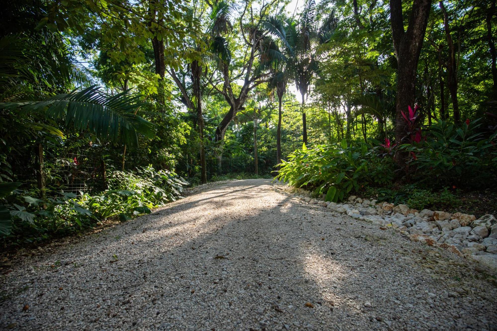 Four Winds Properties A Short Walk To The Beach Nosara Exterior photo